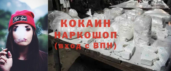 гидра Михайловск