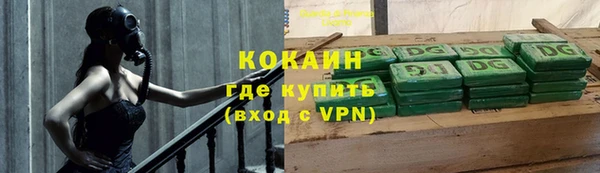 гидра Михайловск