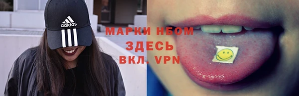 гидра Михайловск