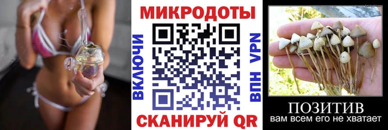 ссылка на мегу ссылка  Канаш  мориарти наркотические препараты  Псилоцибиновые грибы ЛСД 