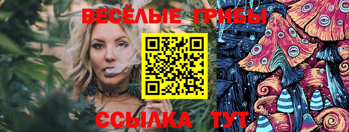 Галлюциногенные грибы Cubensis  Галлюциногенные грибы ЛСД  Вход с VPN  Канаш 